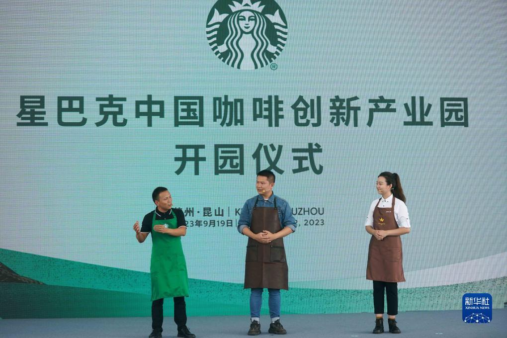 2019年最新白菜彩金